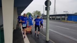 Hoechster-Kreisstadtlauf